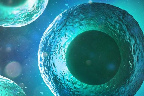 هل يؤثر العمر على نجاح تجميد البويضات؟ إليكِ التفاصيل الطبية