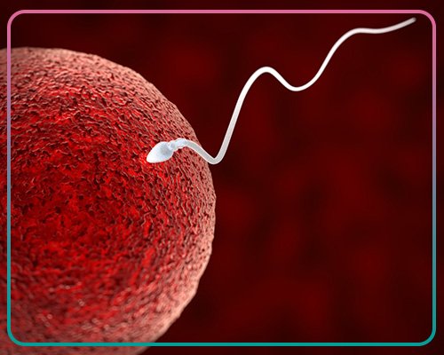 متى تحتاجين إلى تنشيط التبويض طبيًا؟