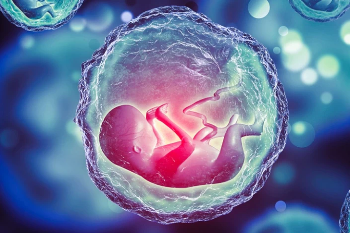 تجميد الأجنة للزوجين.. خيار آمن للحفاظ على فرص الإنجاب مستقبلًا
