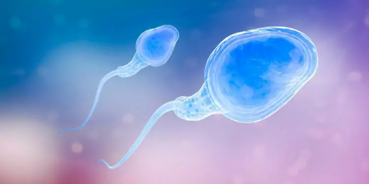 تأثير العمر ونمط الحياة على جودة البويضات والحيوانات المنوية