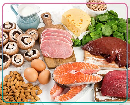 التغذية المثالية لتحسين جودة البويضات والحيوانات المنوية